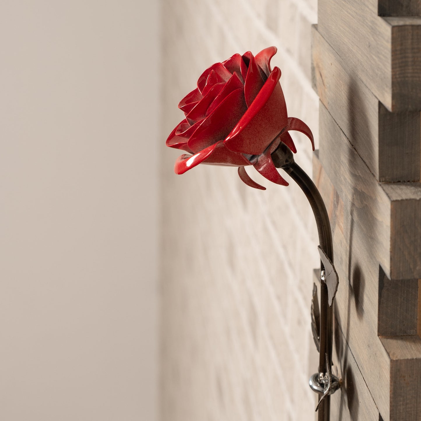 Personalized Gift - Framed Red Metal Rose for Iron 6th Anniversary